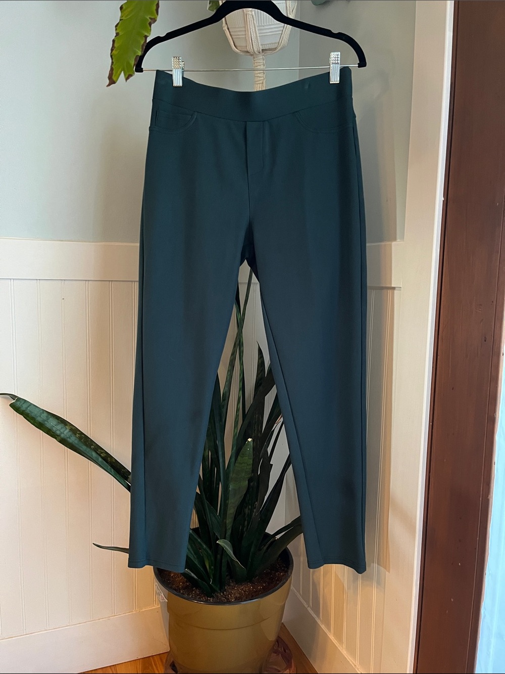 MAZE Collection Teal Ponte Ankle Pants